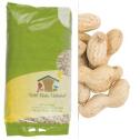 Peanuts in the Shell